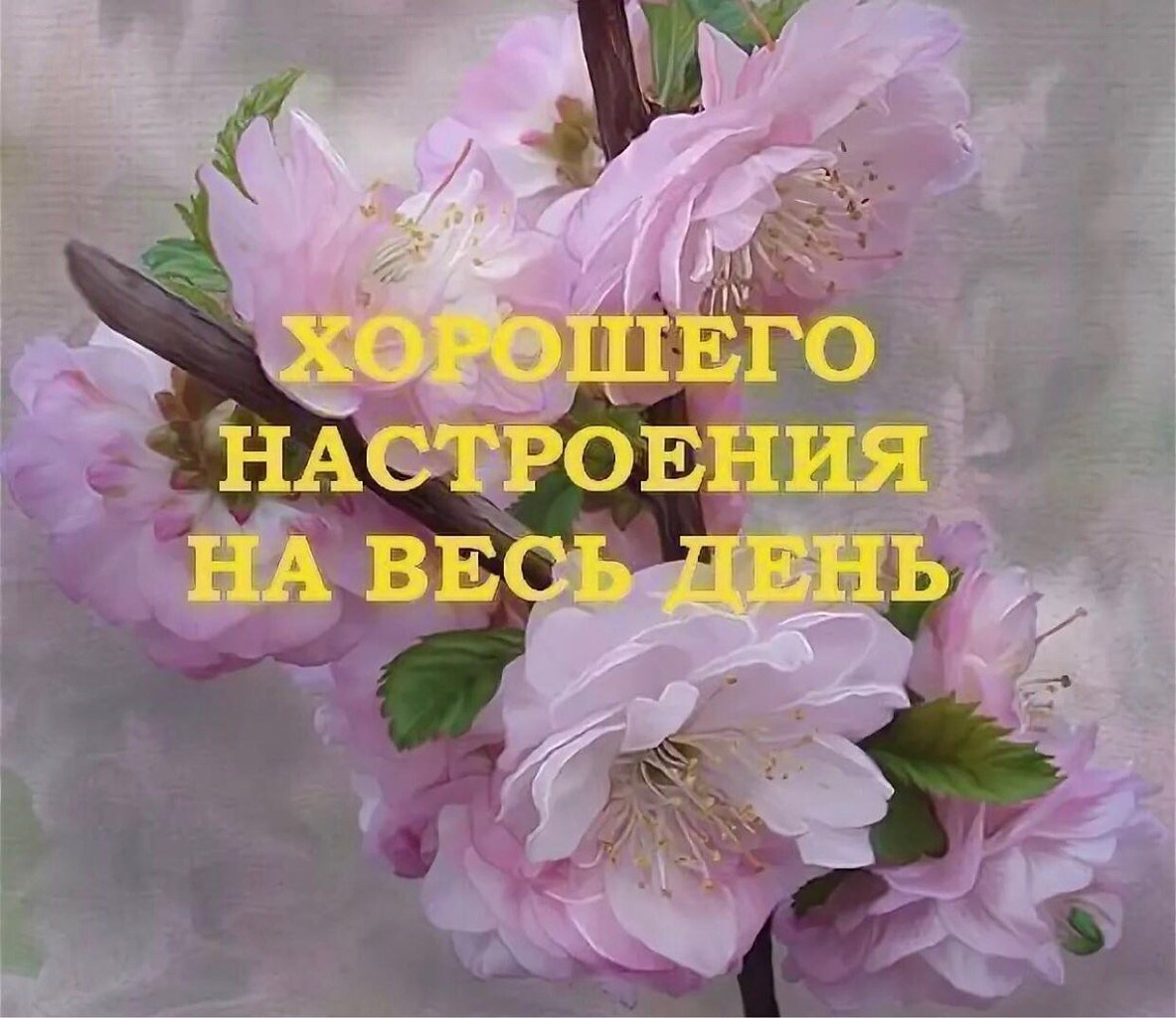 Хорошего насьроения на/Вест день