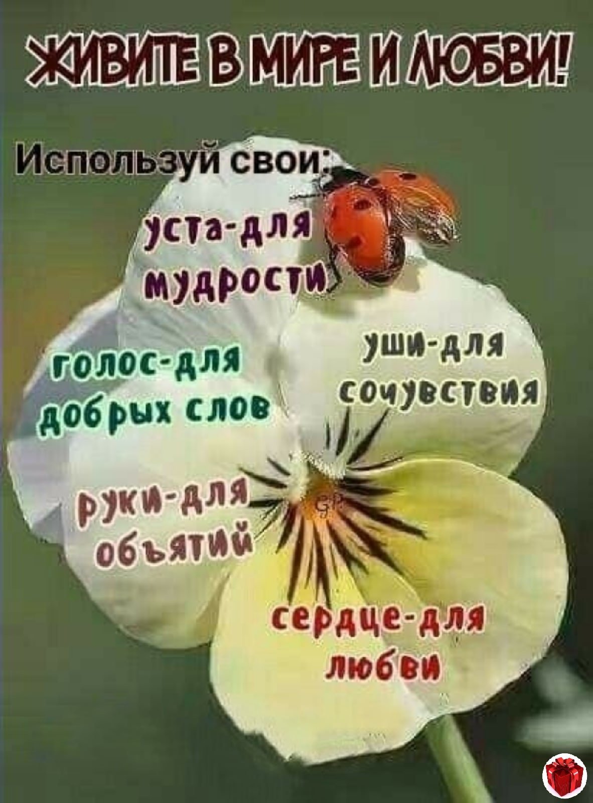 Добрые пожелания и высказывания