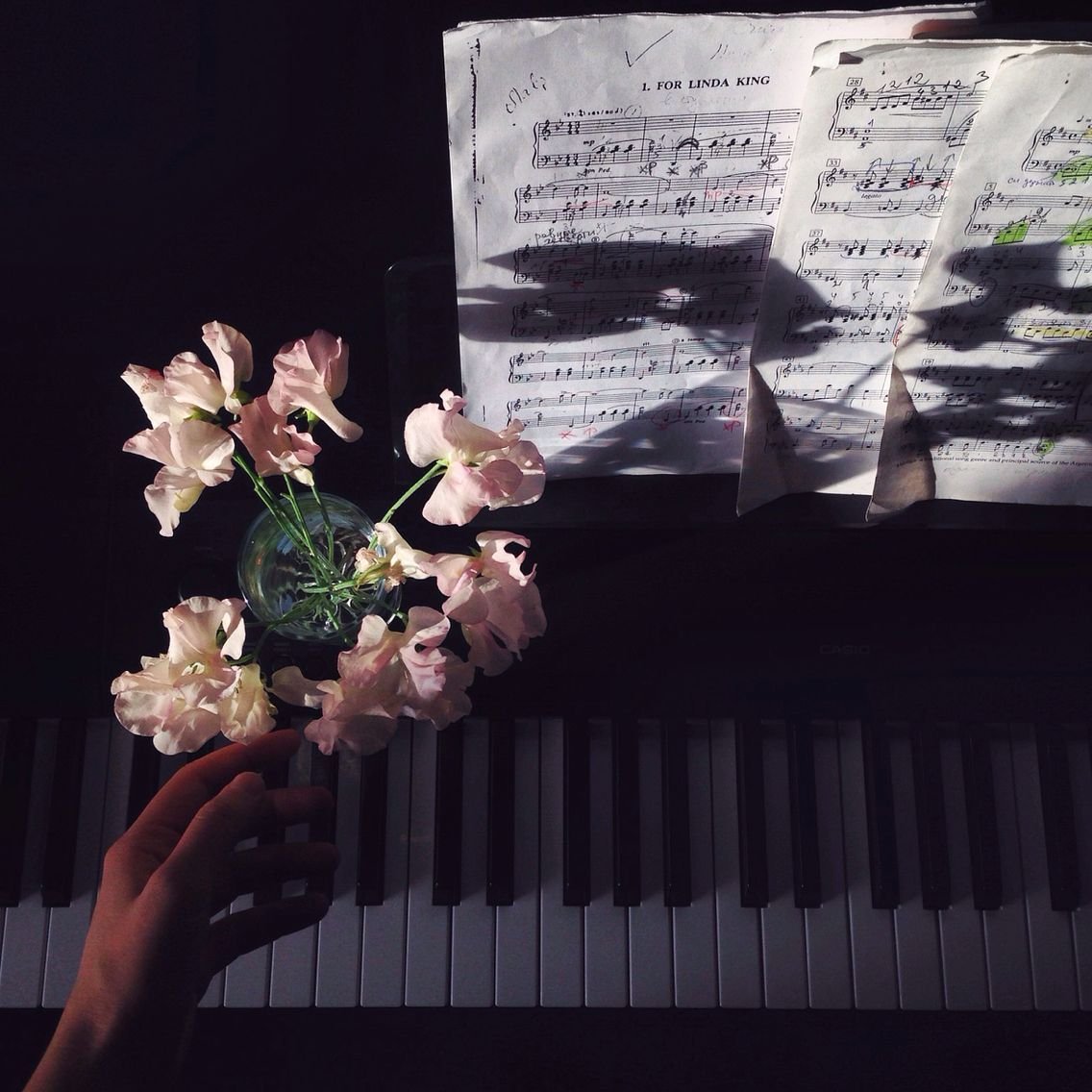 Эстетика музыканта пианиста