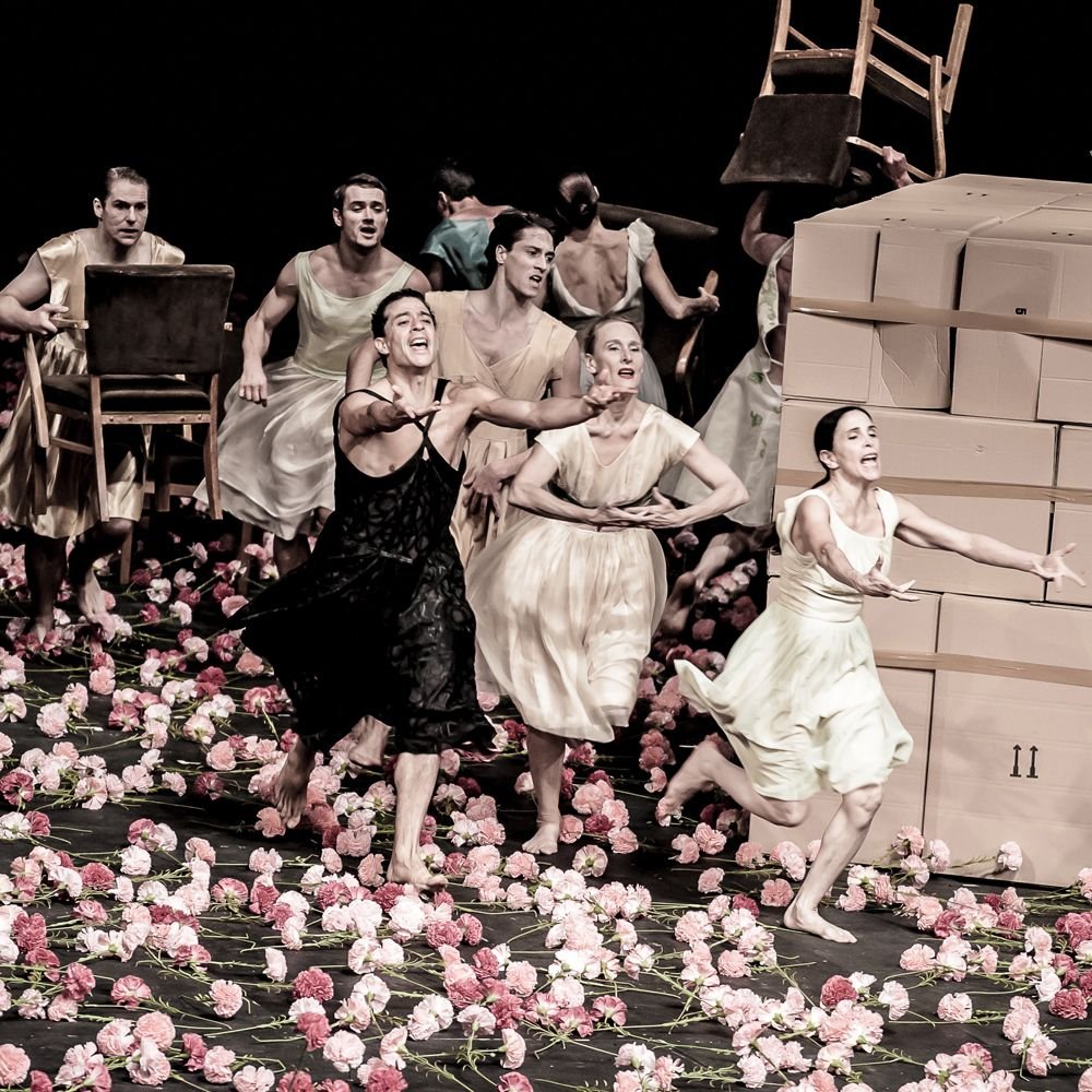 Балет пины Бауш «гвоздики»