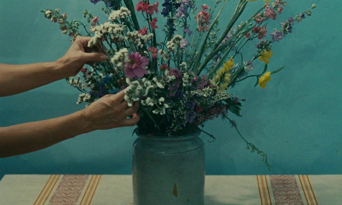 Цветы у Агнессы