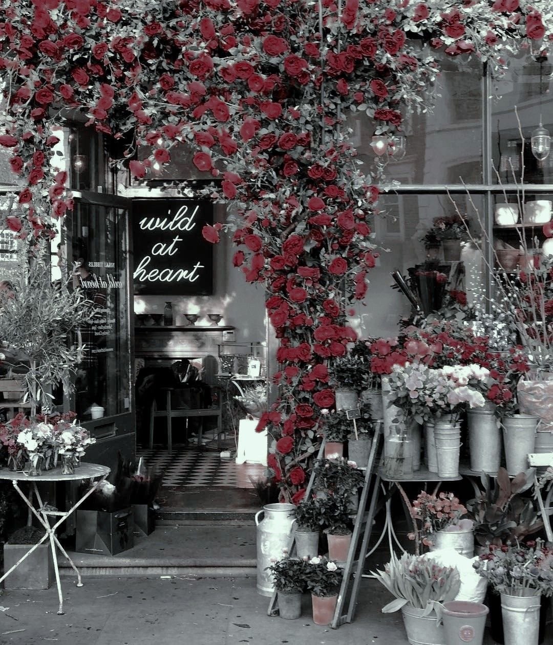 Джейн Пэкер цветочный магазин