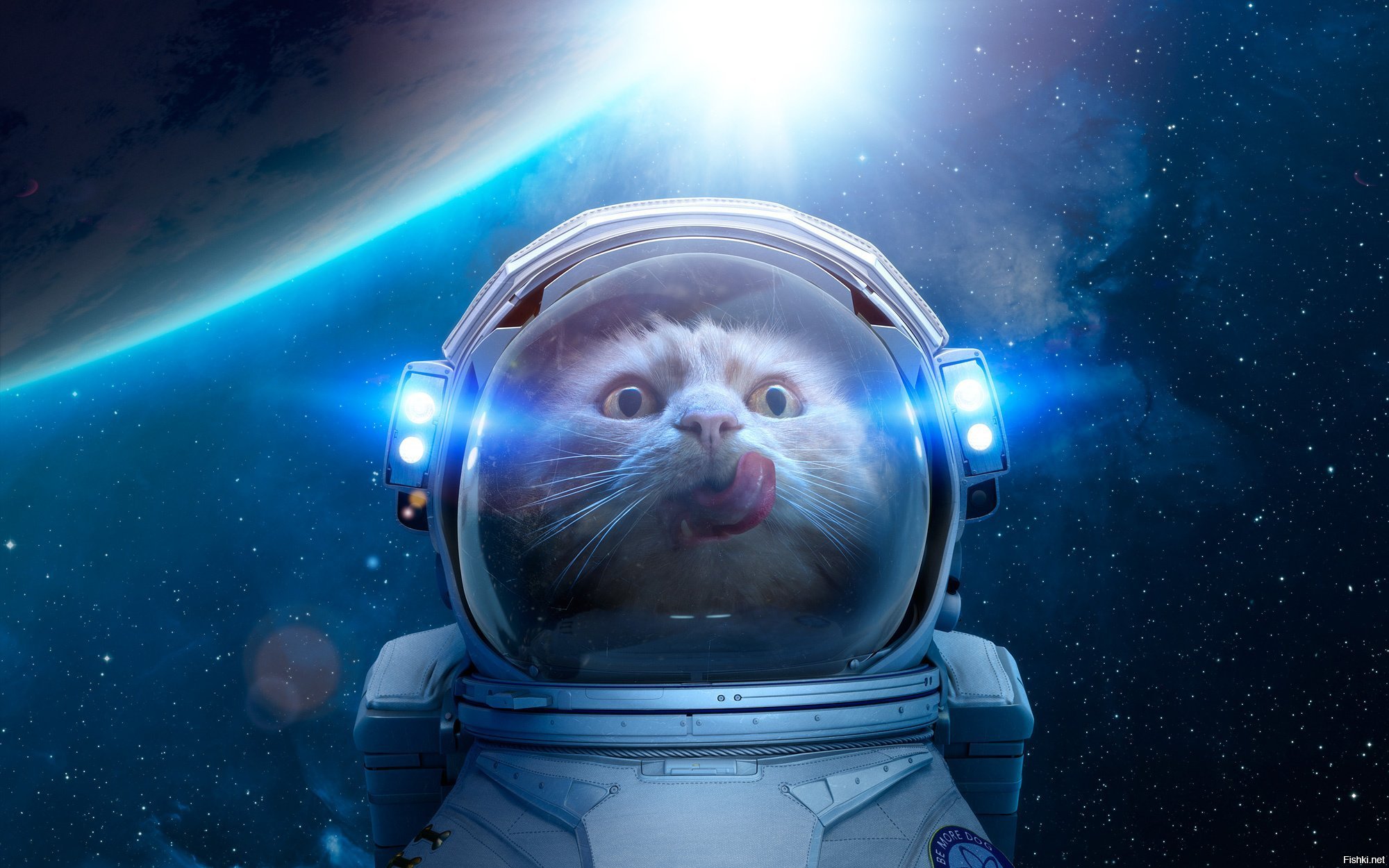 Гарфилд космический. Маскот – кот-космонавт. Скафандр. Котик в скафандре. Космо коты.