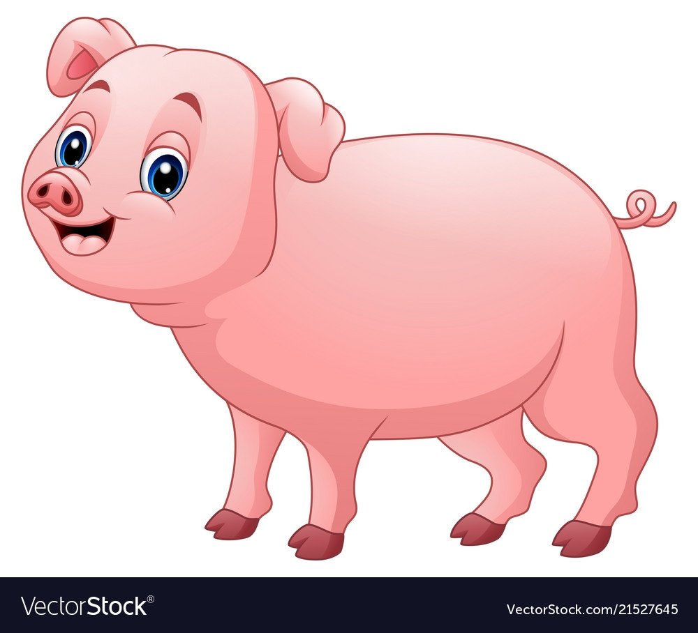 Изображение свиньи для детей