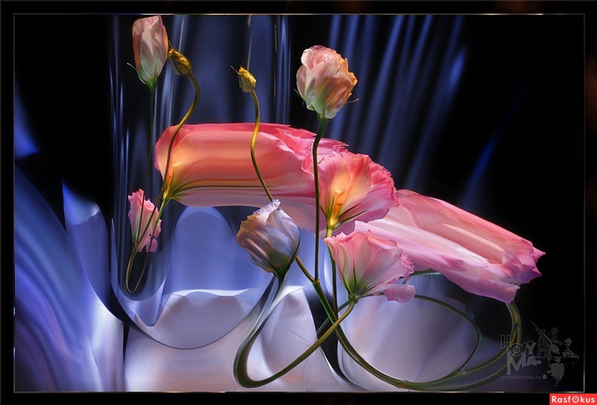 Светографика от HORYMA