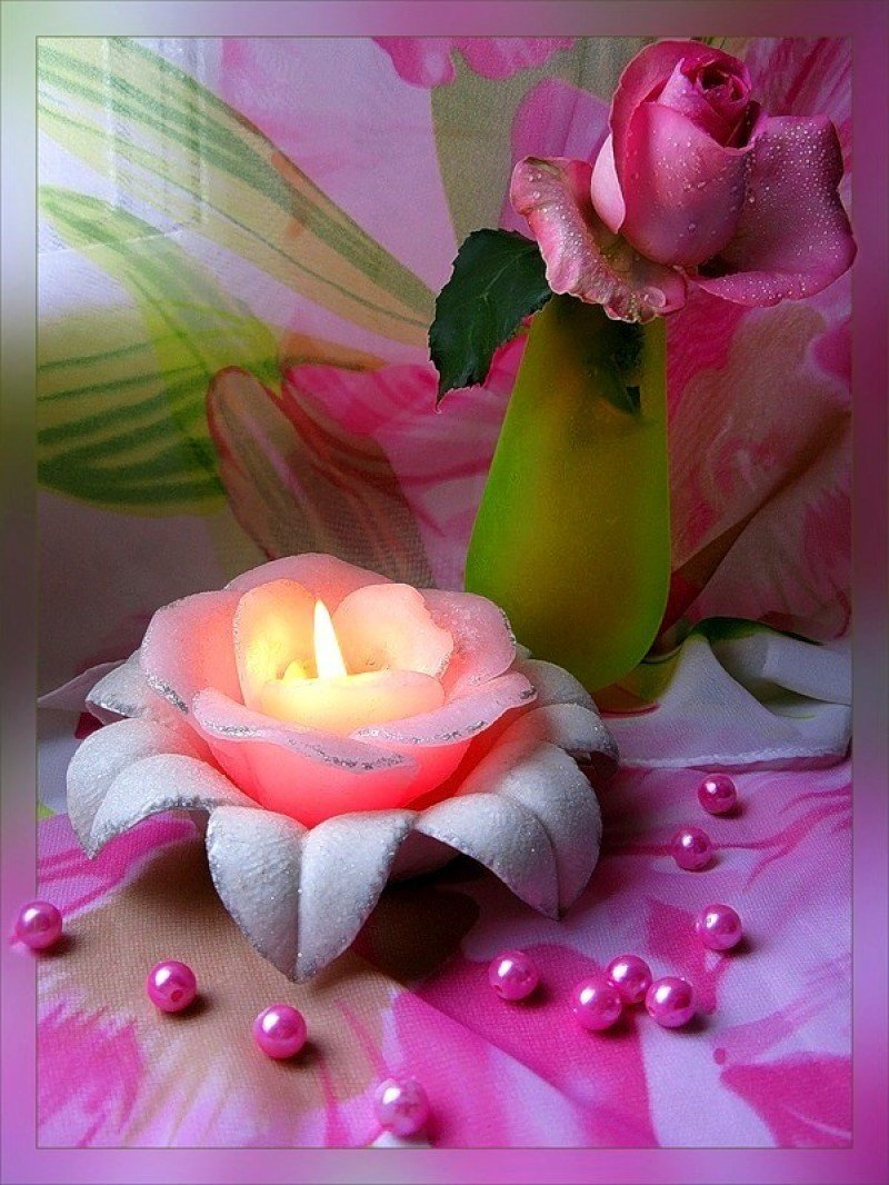 Приятные цветы