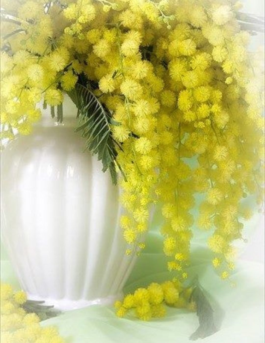 Доброе весеннее утро солнышко. Весенние цветы Мимоза. Мимоза и тюльпаны. Весенние букеты с мимозой и солнцем.