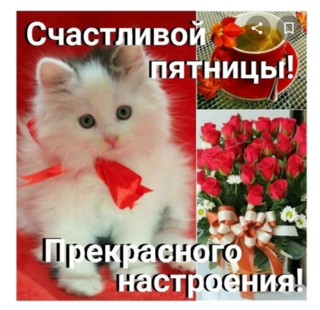 Прекрасной пятницы