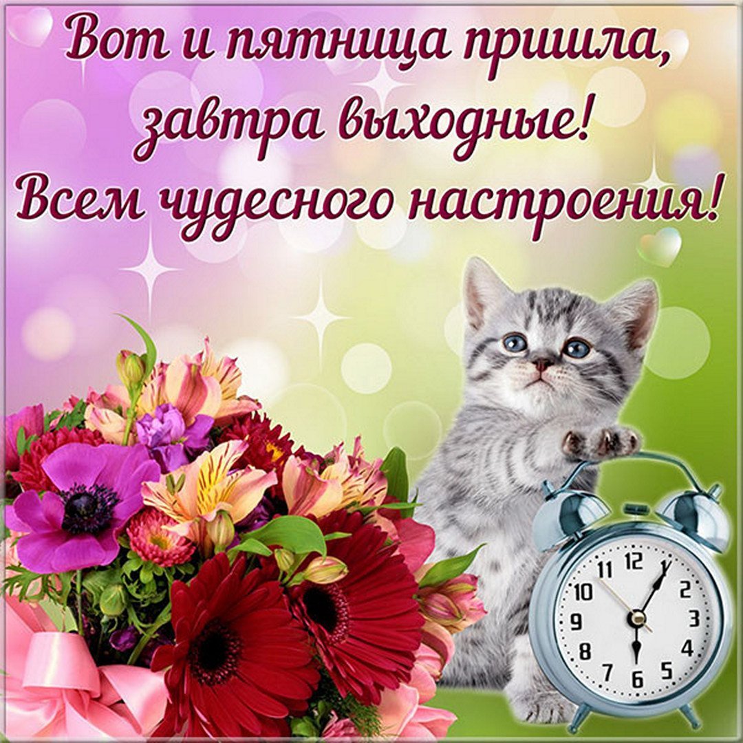 Открытки с добрым утром пятницы