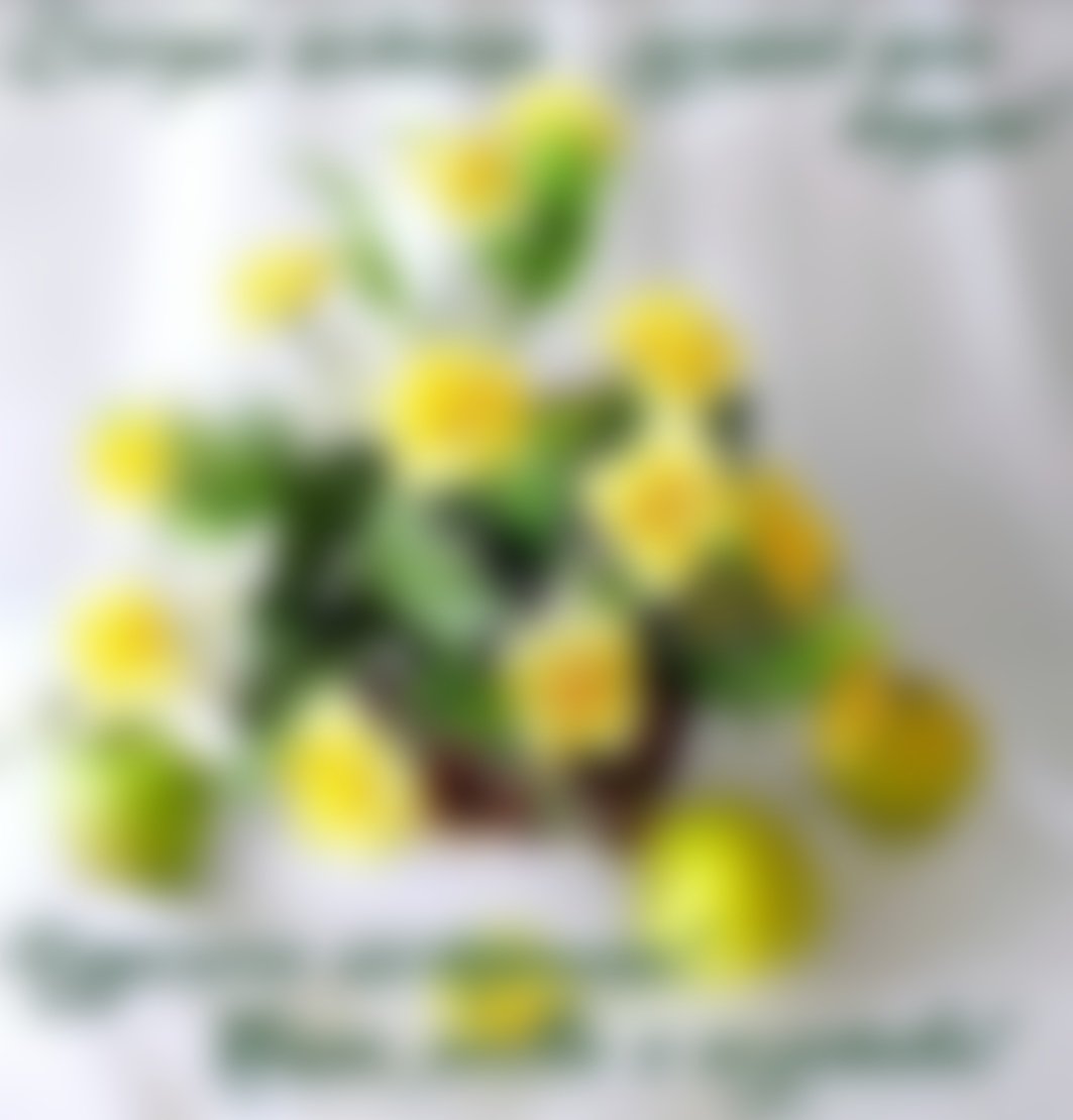 Чудесного дня и отличного настроения цветы