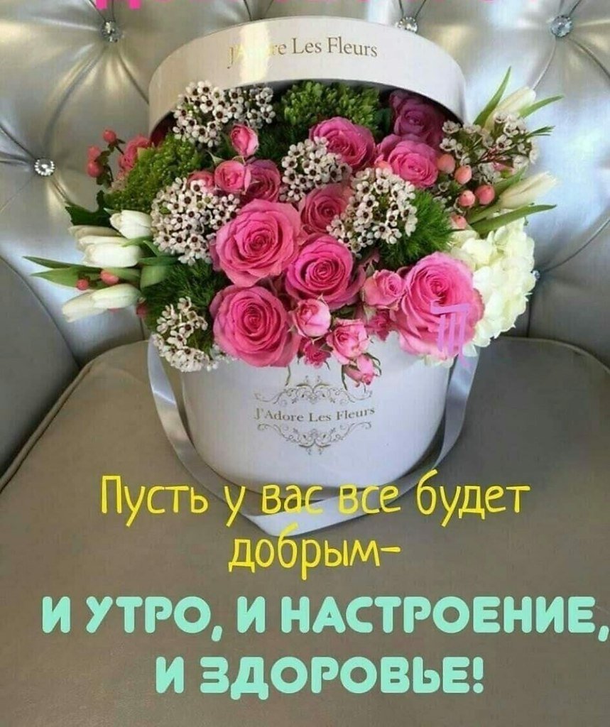 Цветы в коробках с добрым утром