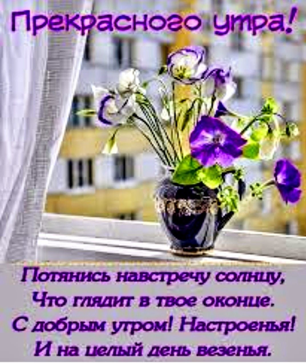 Пожелания с добрым воскресным утром