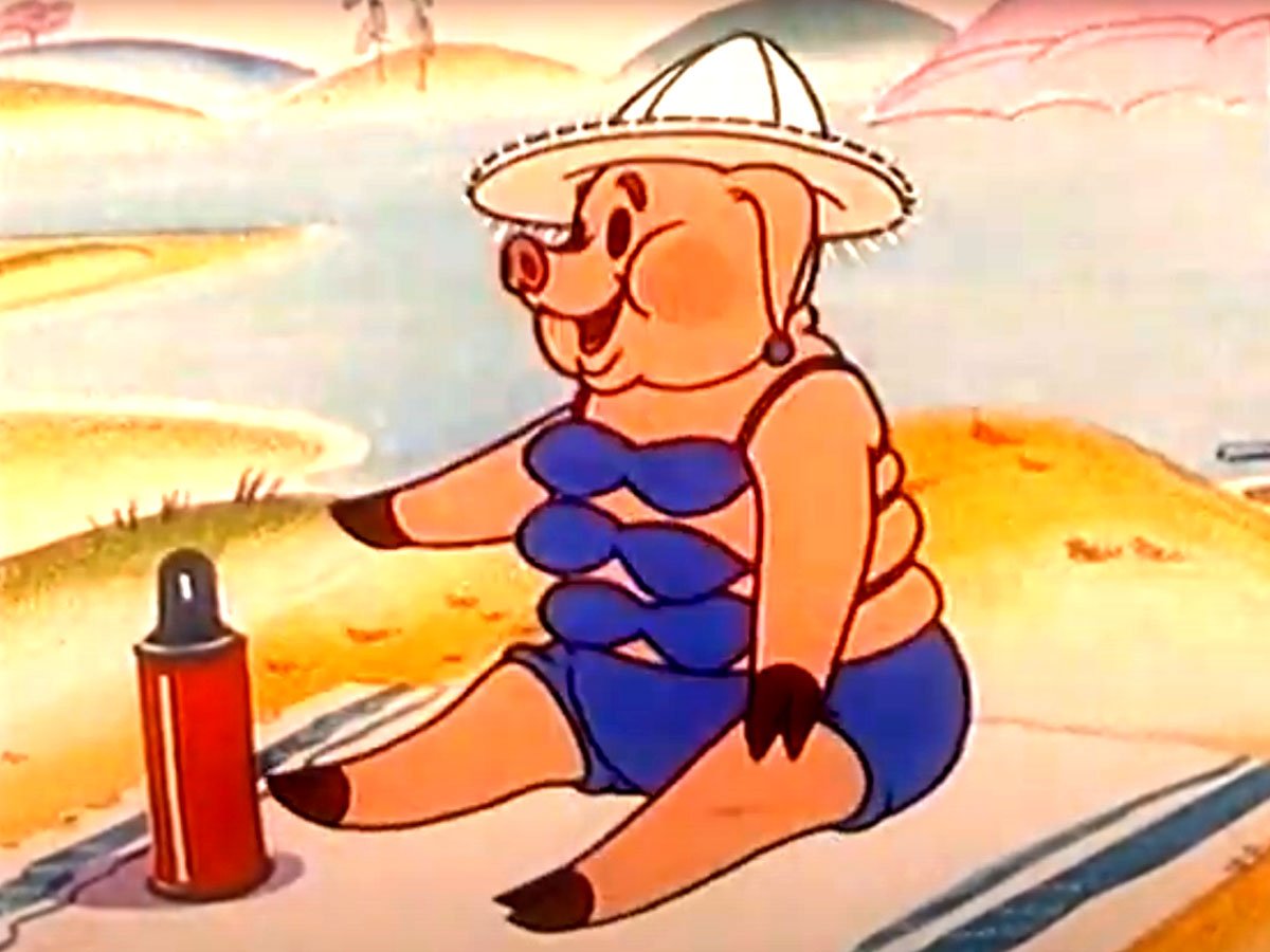 Свинка из ну погоди на пляже