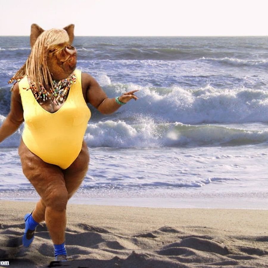 Свинья в купальнике