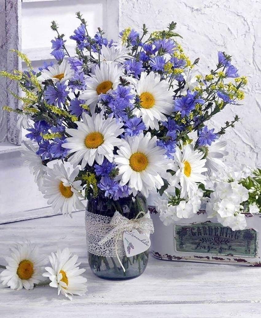 Красивый букет полевых цветов