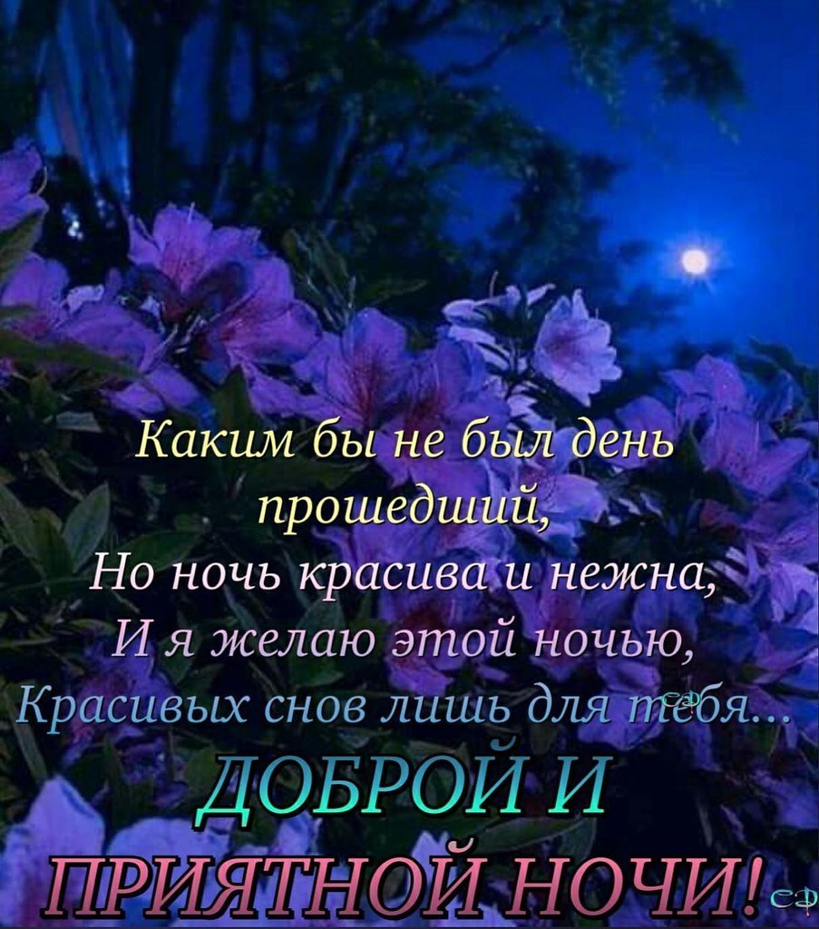 Пожелания доброй ночи