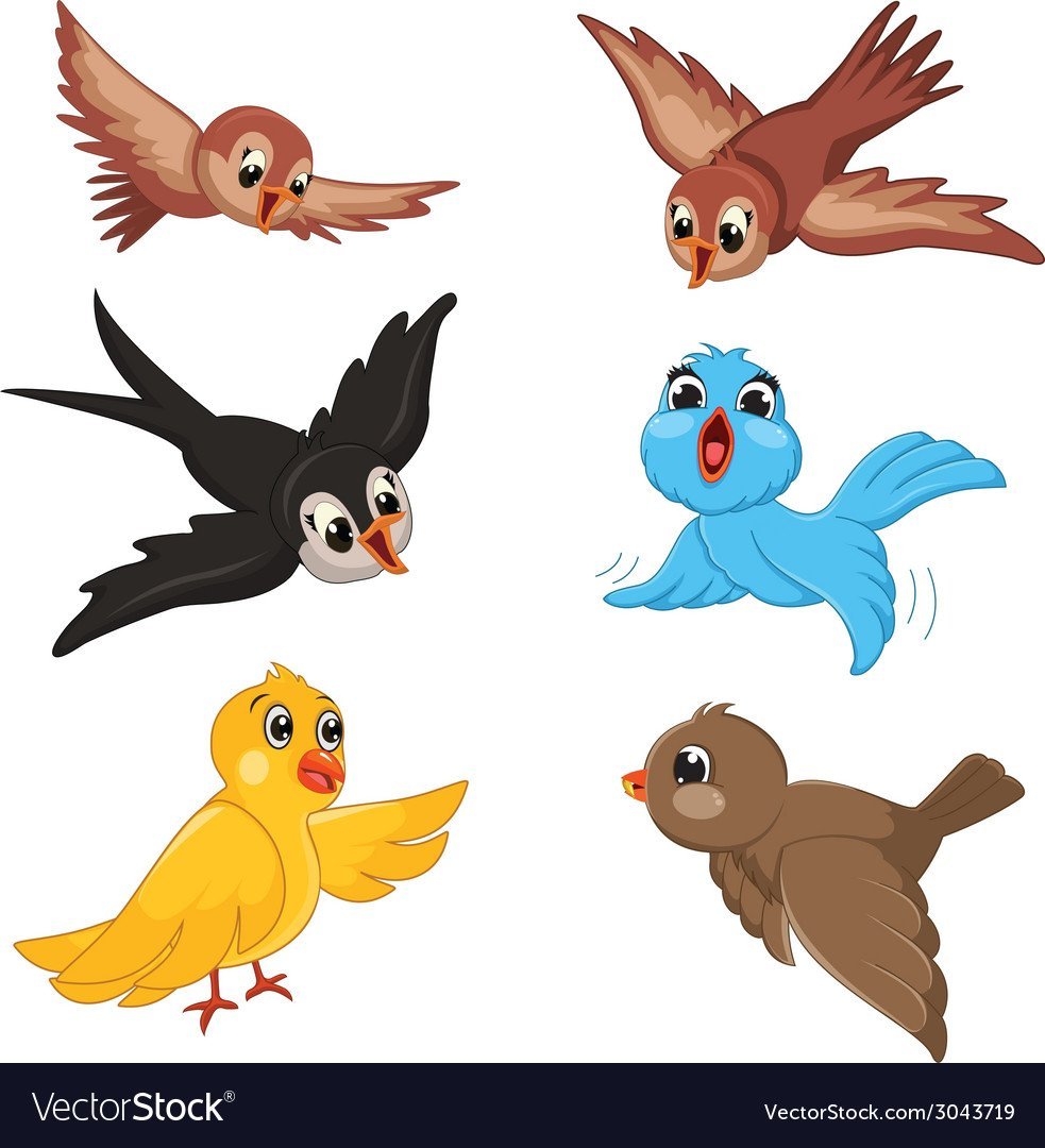 картинки птиц для оформление