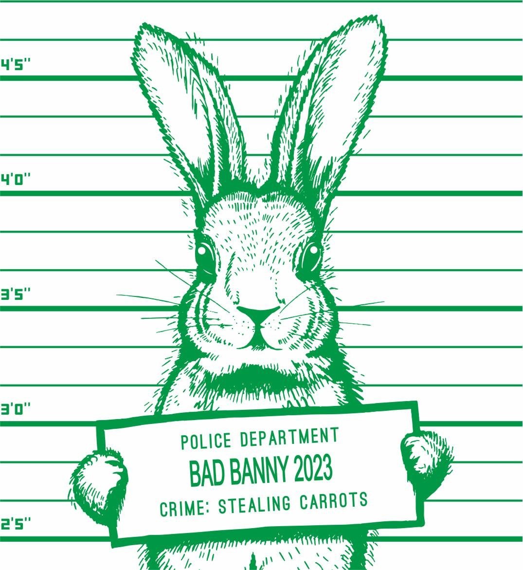 Poster 2023. Новый год 2023 кролик. Кролик плакат. Плохой кролик. Прикольные открытки с 2023 годом.
