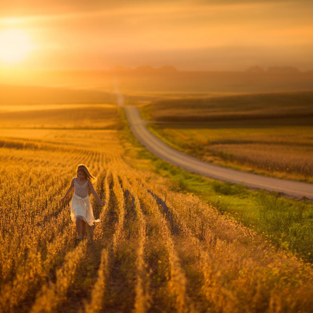 Дорога в поле картинки