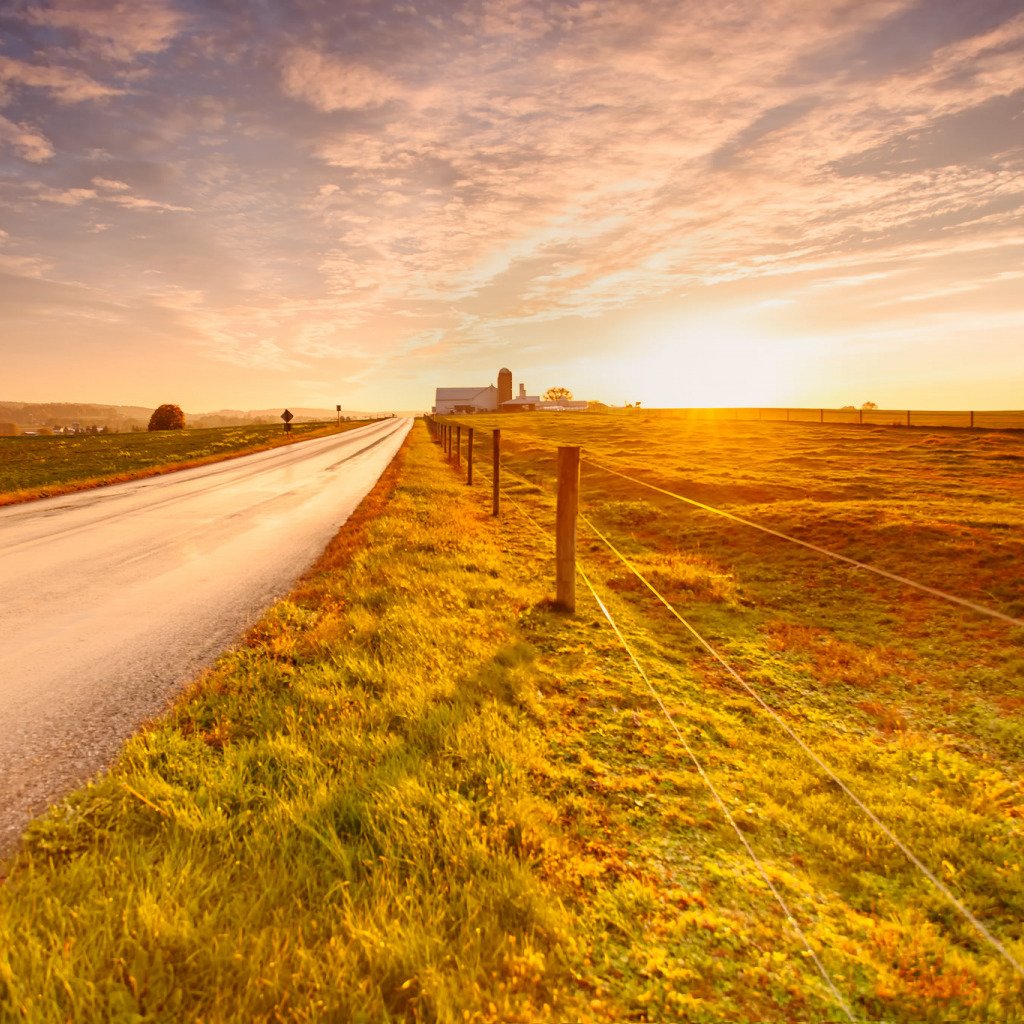 Поле с дорогой