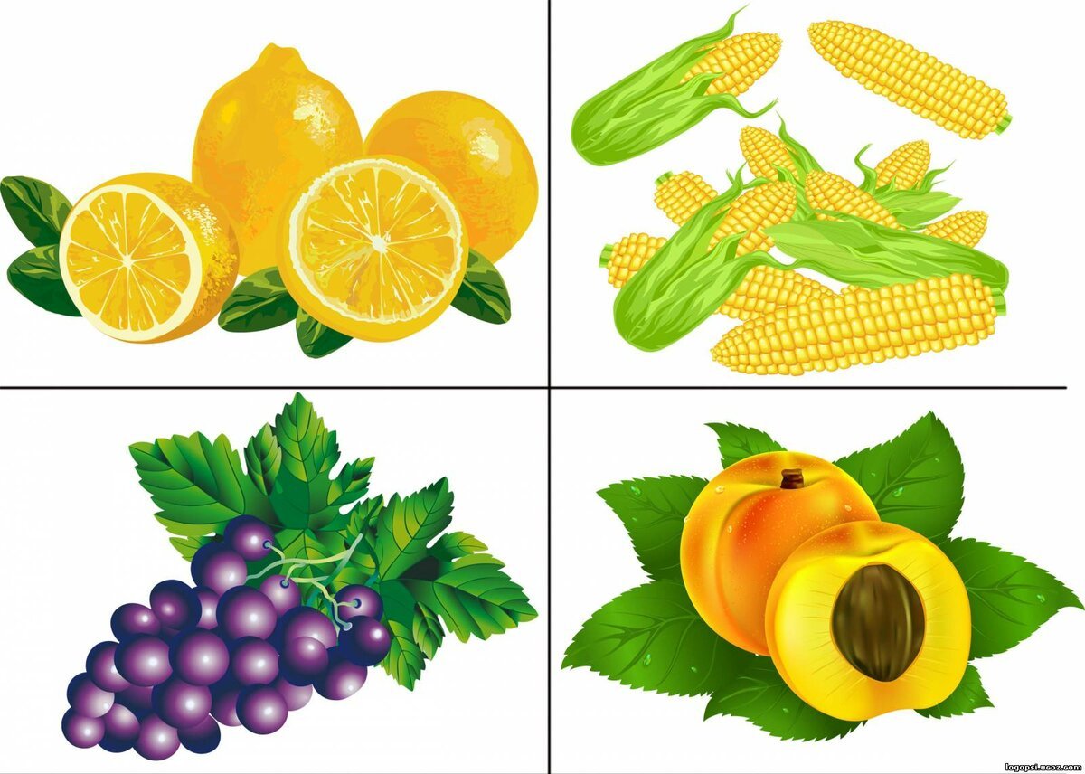 Четвертый лишний фрукты