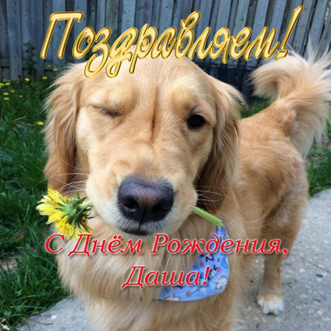 С днём рождения Даша