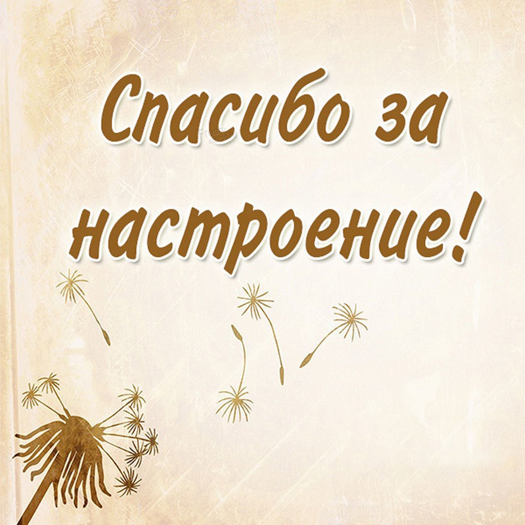 Спасибо за