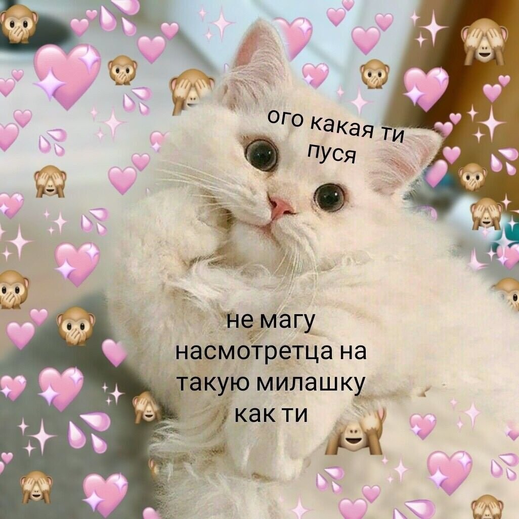 Милый котик с надписью