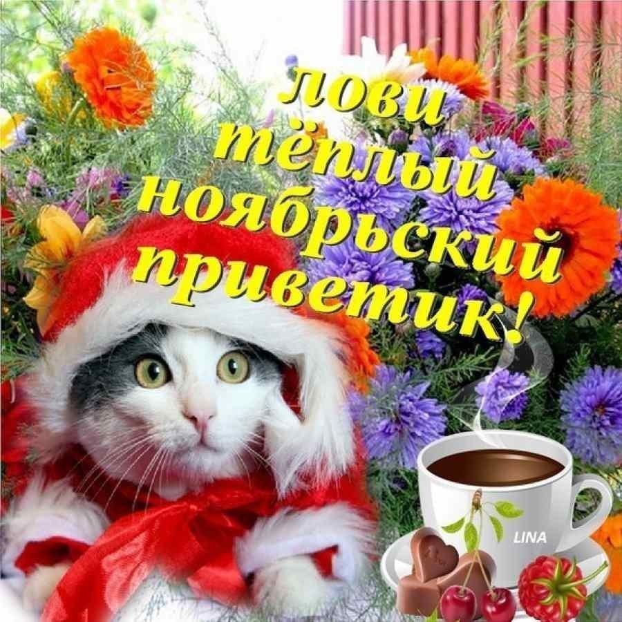 С бодрым ноябрьские утром