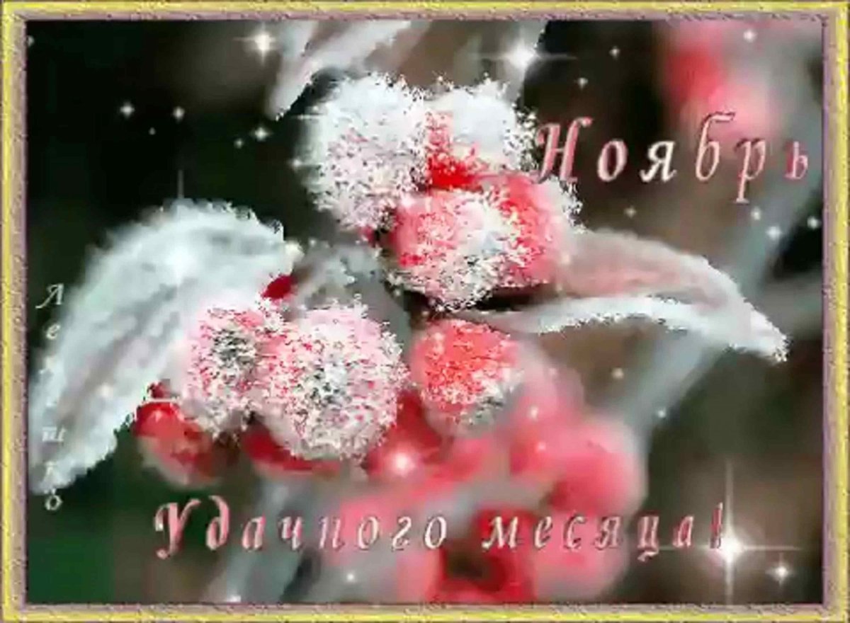 Мерцающие открытки с 1 ноября