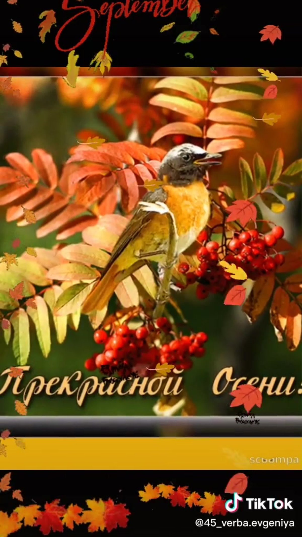 Открытки осенний привет