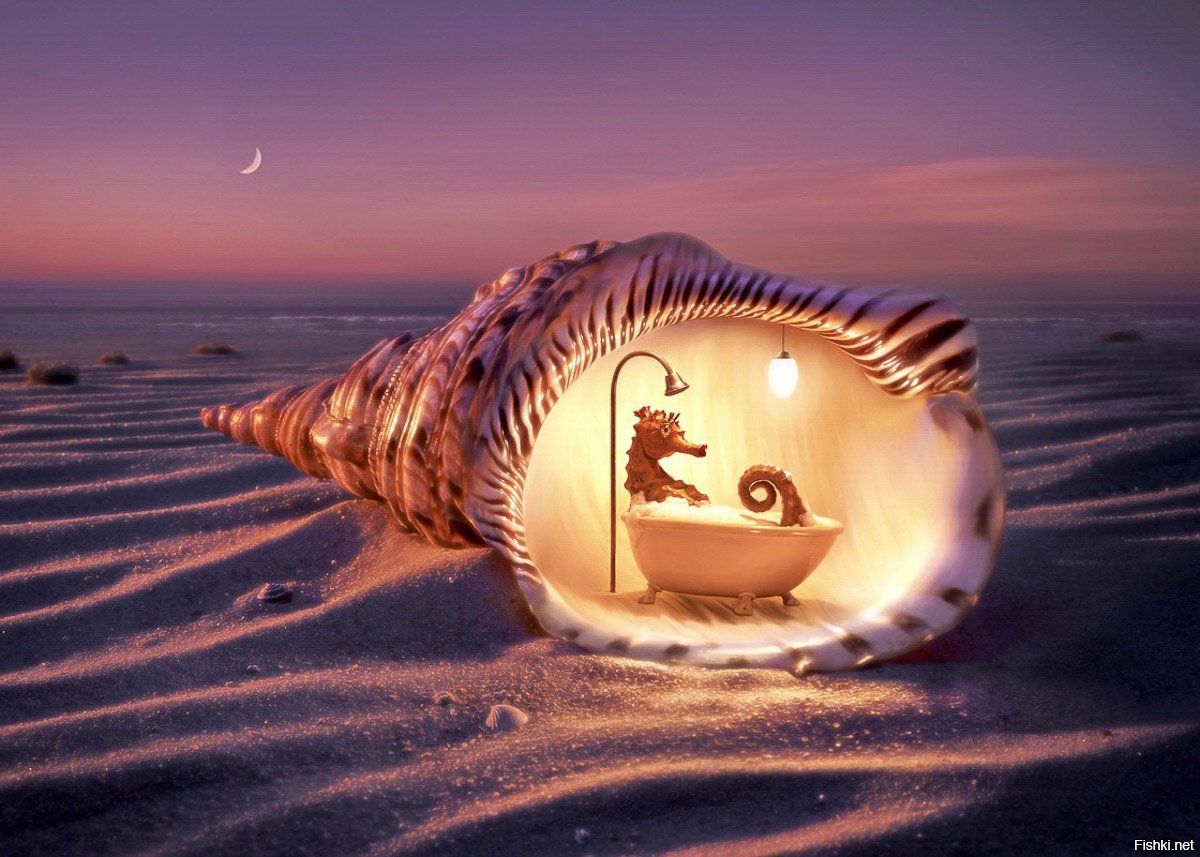 Море ночь и ракушки