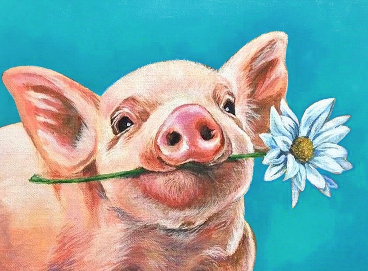 Картина свинья