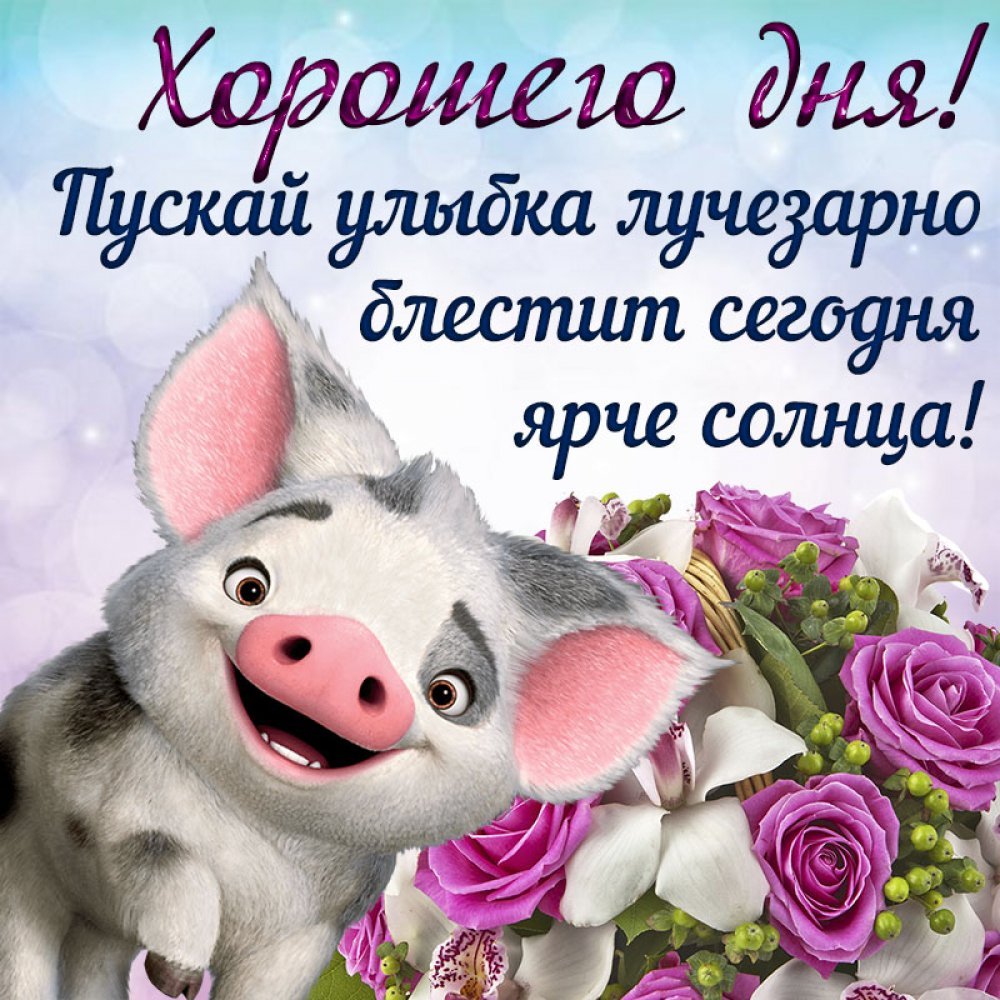 Доброе утро с поросенком картинки