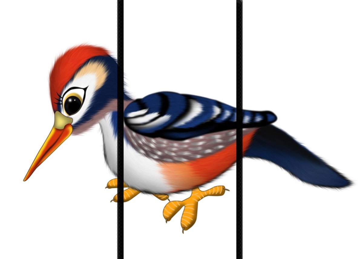 Сложи картинку птицы