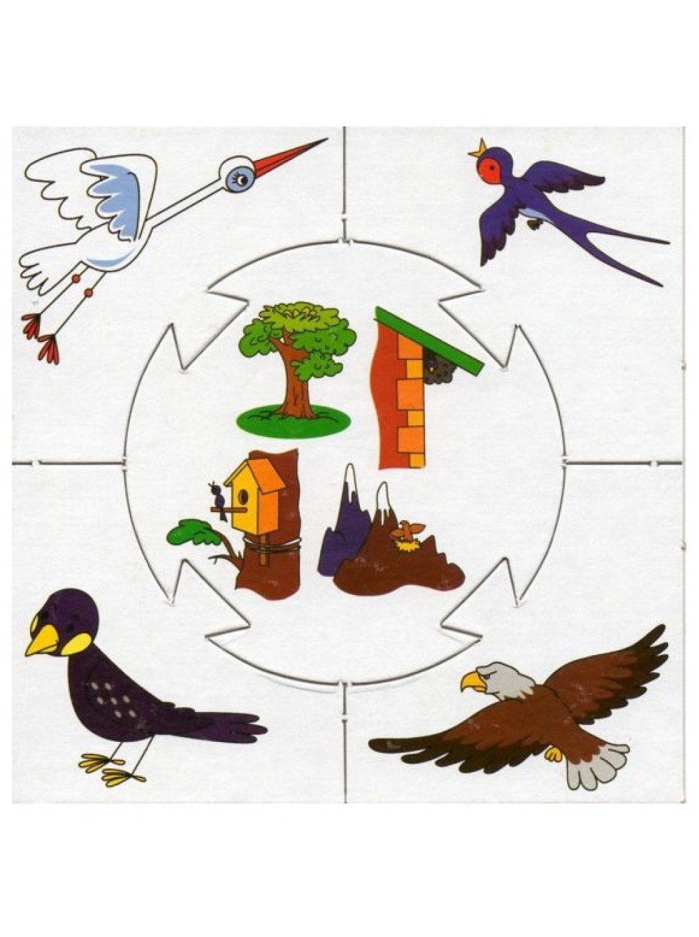 Дидактическая игра"кто такие птицы"