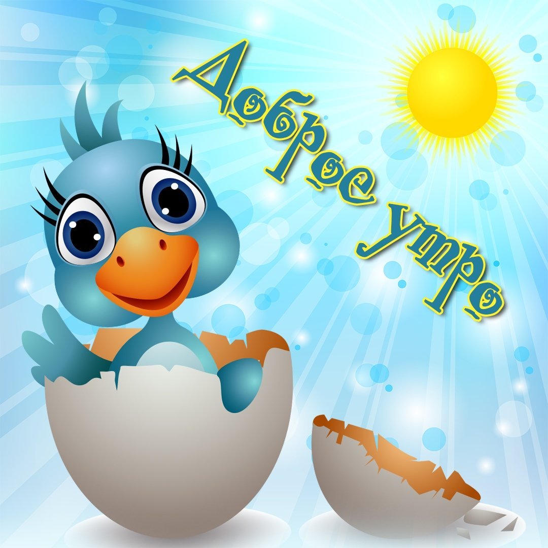 Утро доброе картинки прикольные улыбнись