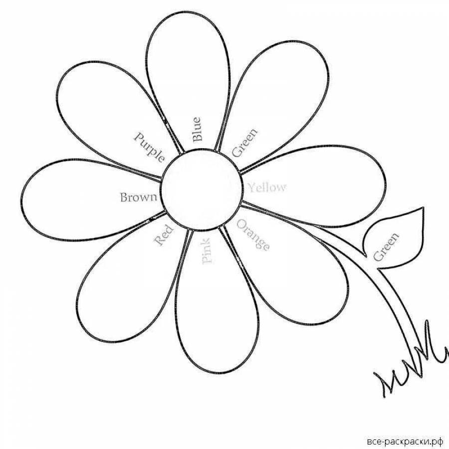 Трафарет ромашки для раскрашивания