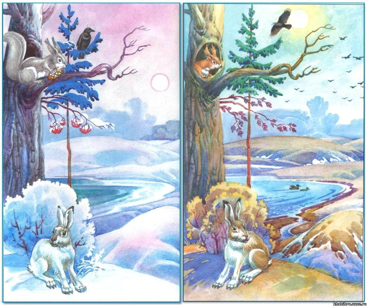 Время года зима изменения в жизни животных. Времена года иллюстрации. Картина четыре времени года.