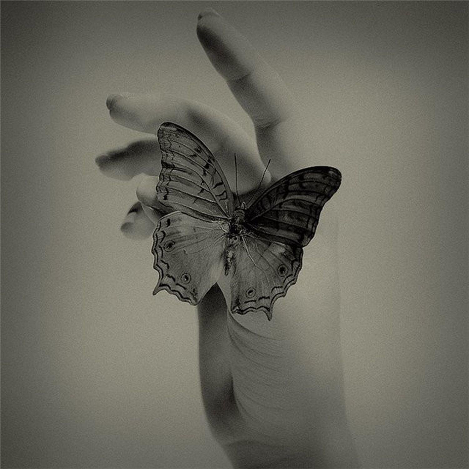 Аватарки с бабочками. На руку бабочка. Бабочки Эстетика. Бабочка на ладони. Бабочка душа.