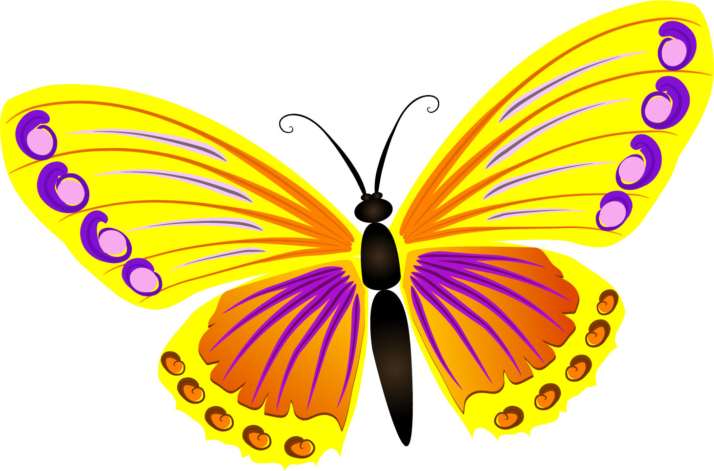 Бабочка в садик. Бабочки мультяшные. Бабочка рисунок. Бабочки цветные.