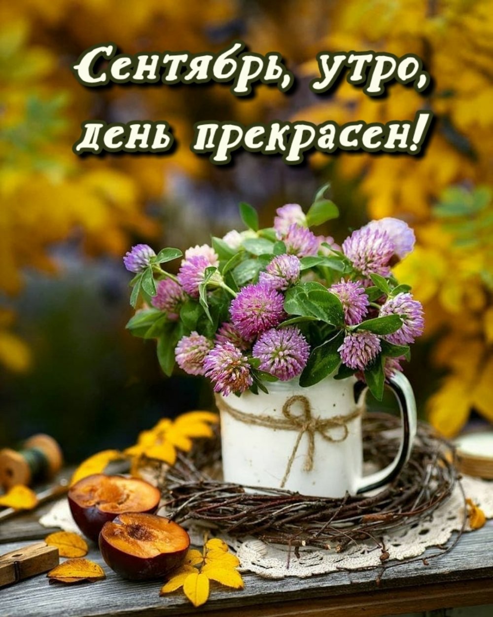 Доброе сентябрьское утро