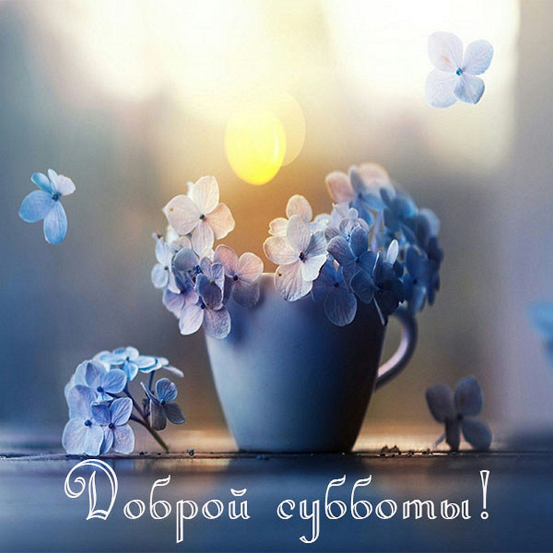 Доброе утро сентября картинки