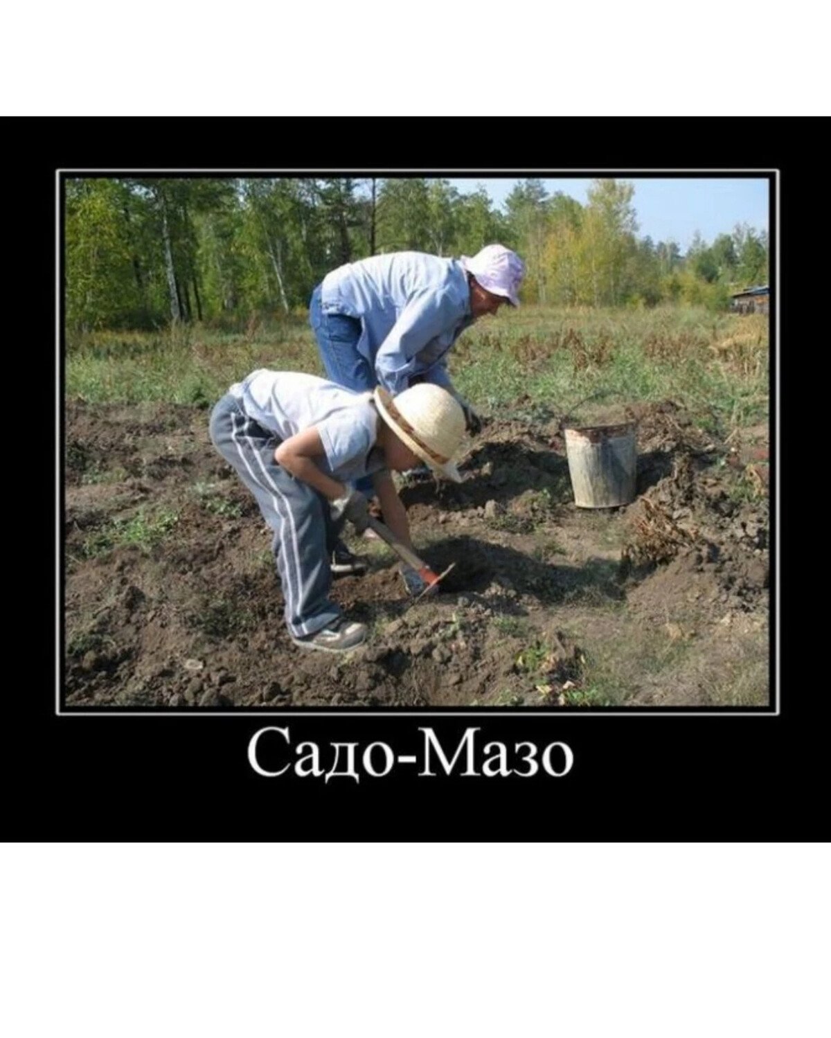 Демотиваторы про огород и дачу