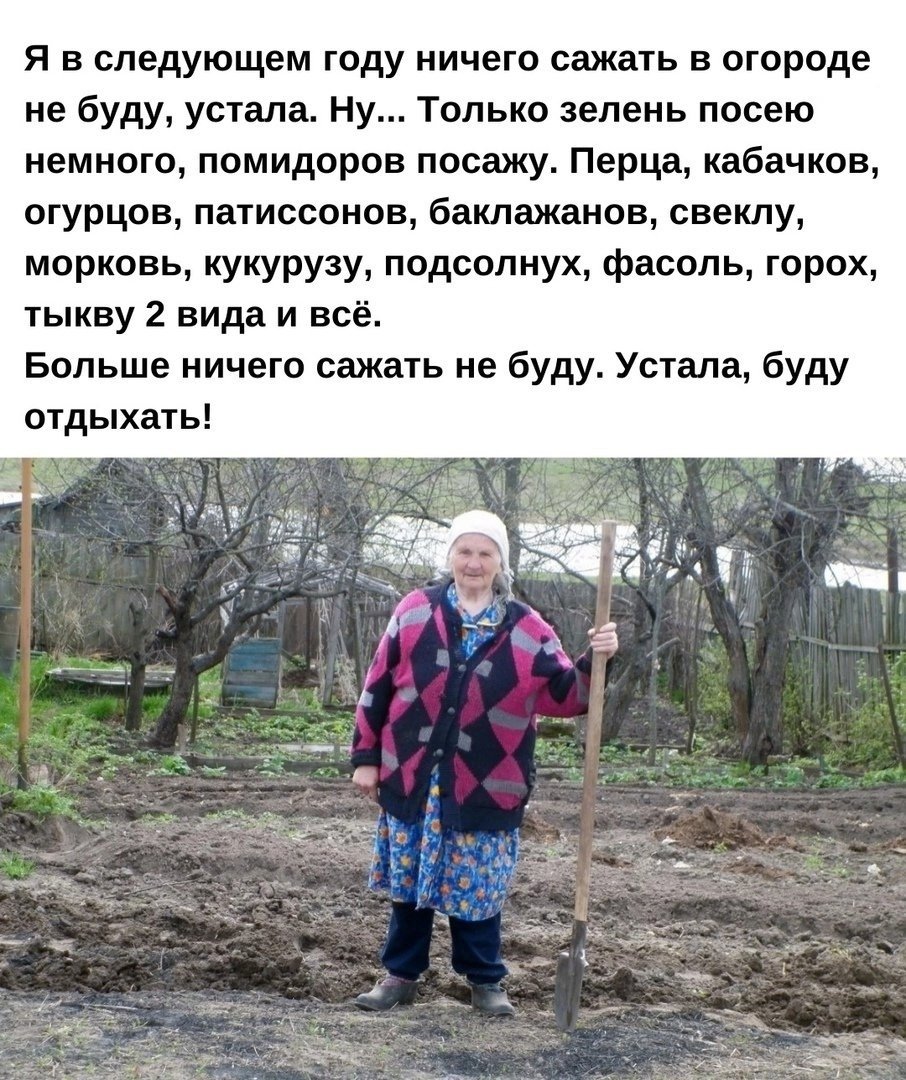 Поздравление с окончанием дачного сезона