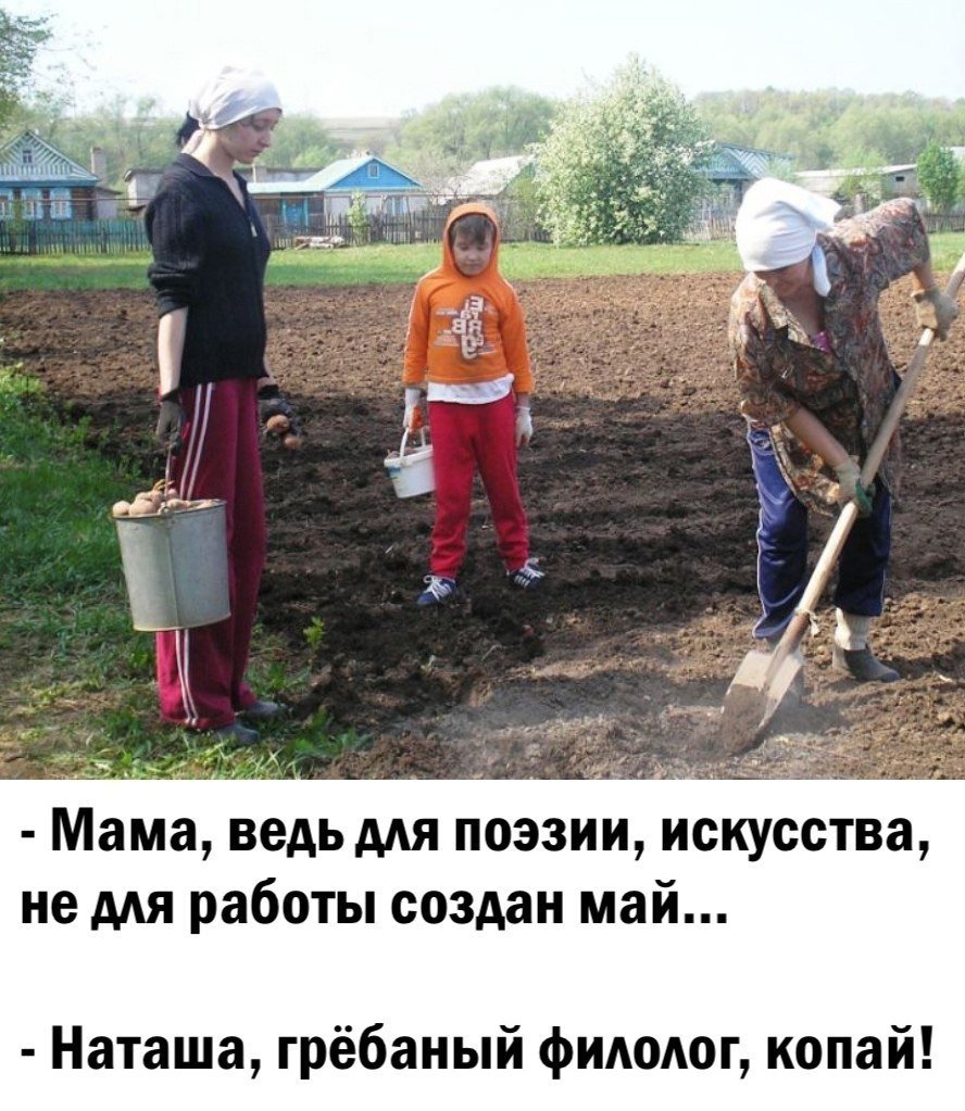 Демотиваторы про огород