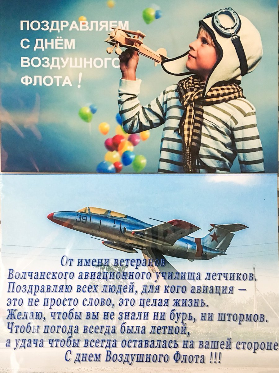 С днём рождения летчику
