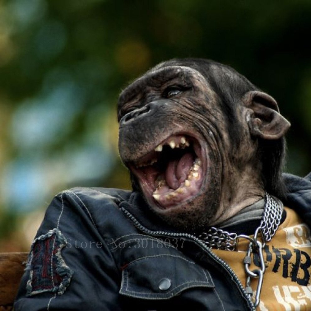 Фото приколы 2024. Животные смеются. Смешные фото на аватарку. Злая обезьяна. Приколы ржач.