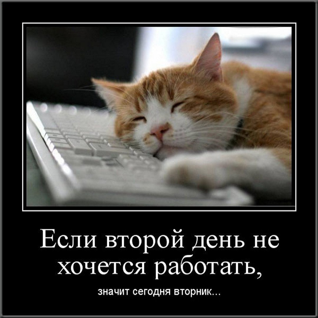 Смешное про вторник