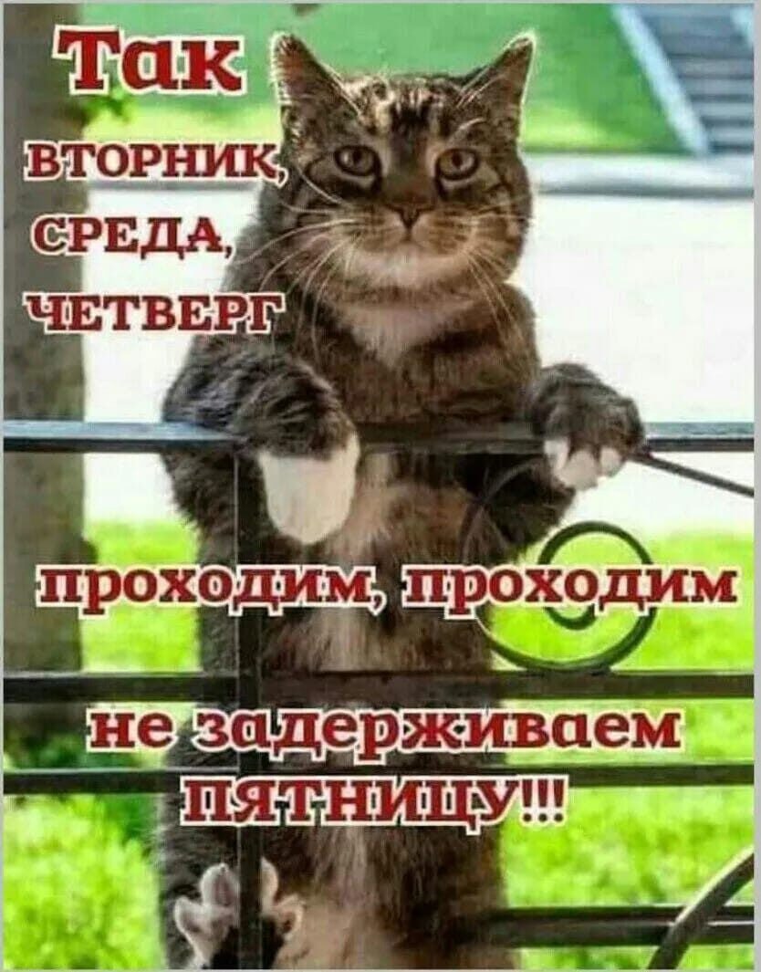 Вторник приколы